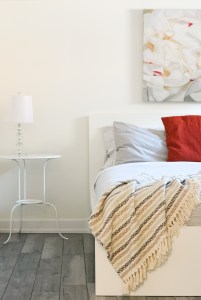 Ottawa-air bnb-glebe-photography