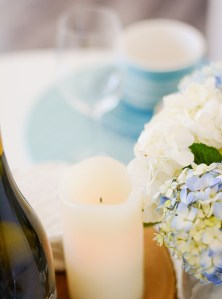 Ottawa-air bnb-glebe-photography